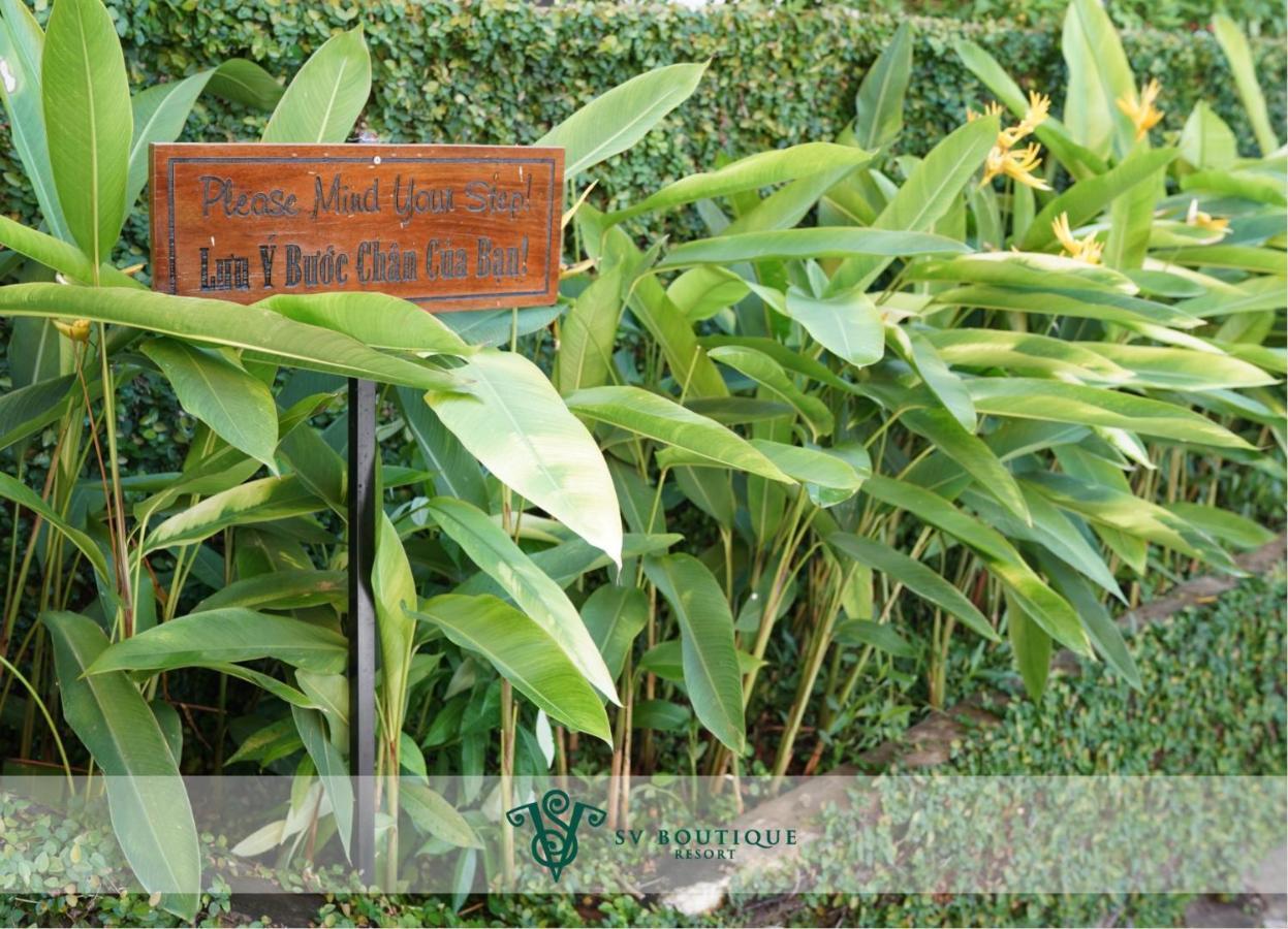 Sv Boutique Resort Vung Tau Exterior photo